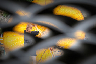 “守”艺人（8）