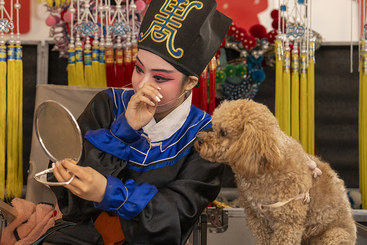 Z35960-10-277404-（6）DSC00755 拷贝.jpg