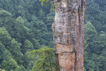 Z41155-9-277404-DSC_621811 拷贝.jpg