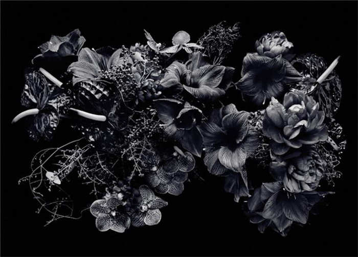 2014 PDN 年度摄影展作品“杂志/出版物”摘选