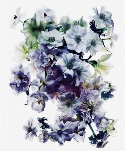 2014 PDN 年度摄影展作品“杂志/出版物”摘选