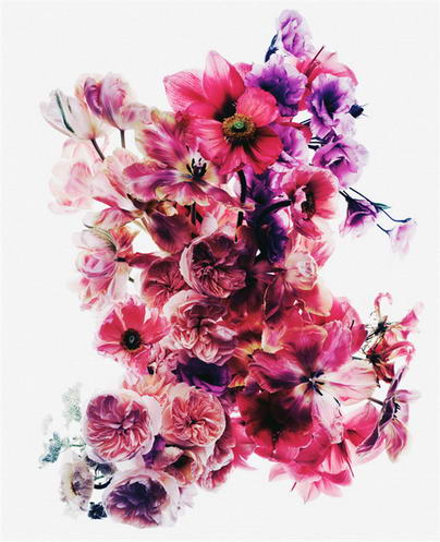 2014 PDN 年度摄影展作品“杂志/出版物”摘选
