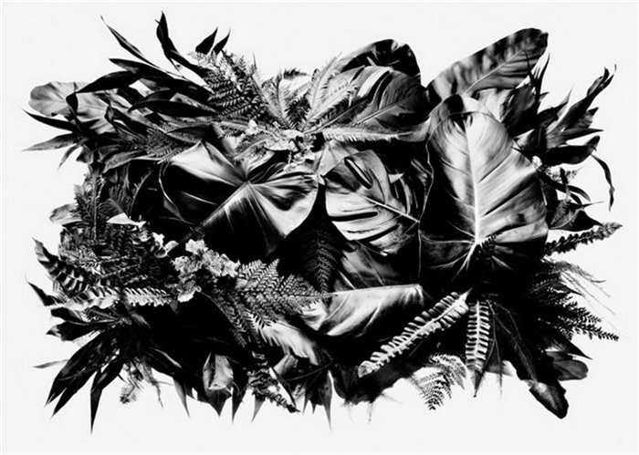 2014 PDN 年度摄影展作品“杂志/出版物”摘选