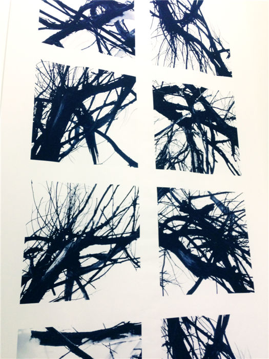 《零界》于牧洋 贺杰 摄影联展开展