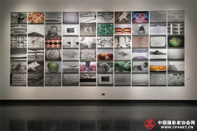 Prix Pictet获奖者Michael Schmidt去世