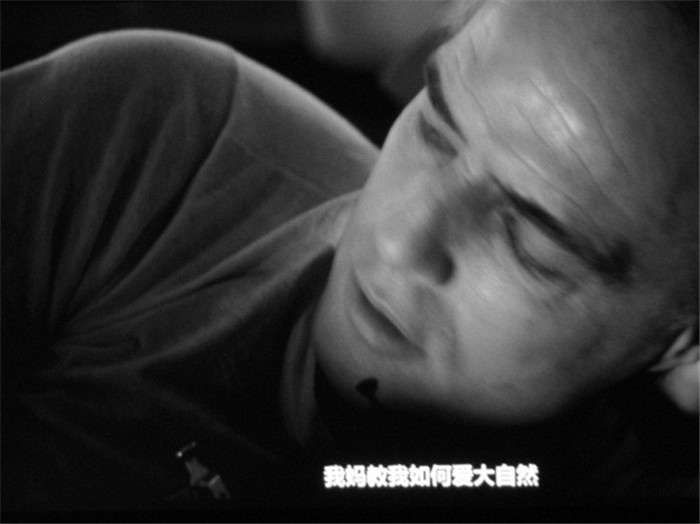 Interacting images 一个展览的说明书和一次试图去除边界的影像