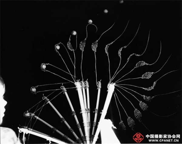 频闪博士：停住时间的人