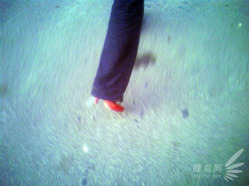 自觉抑或圣地 韩松落谈七人手机摄影展