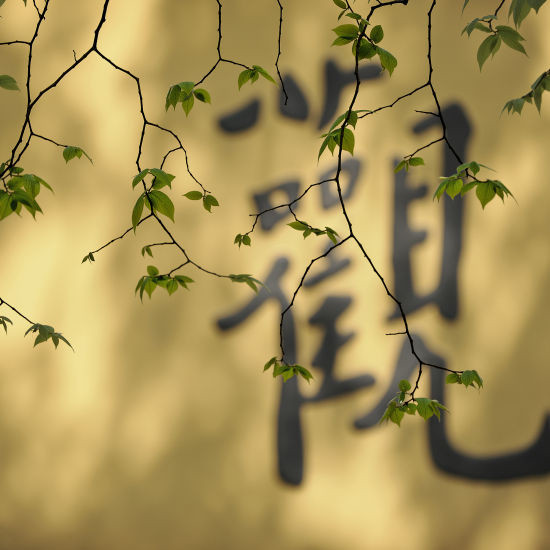 追寻佛的足迹--张望摄影作品北京展隆重开幕