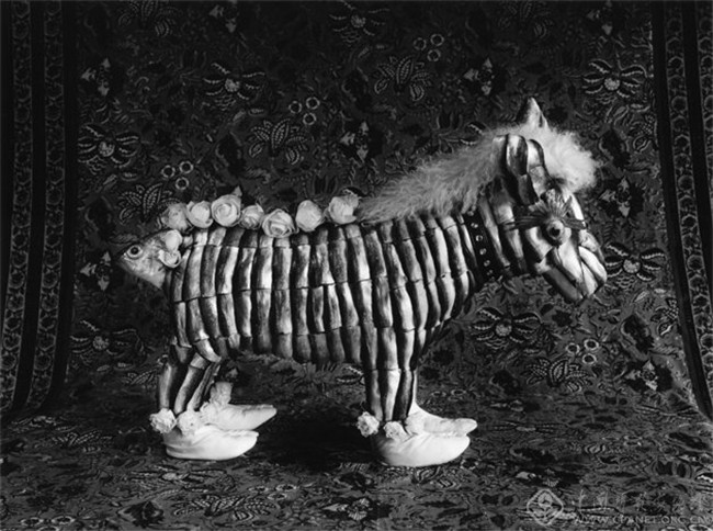 乘物游心--1839-2014直接摄影原作展
