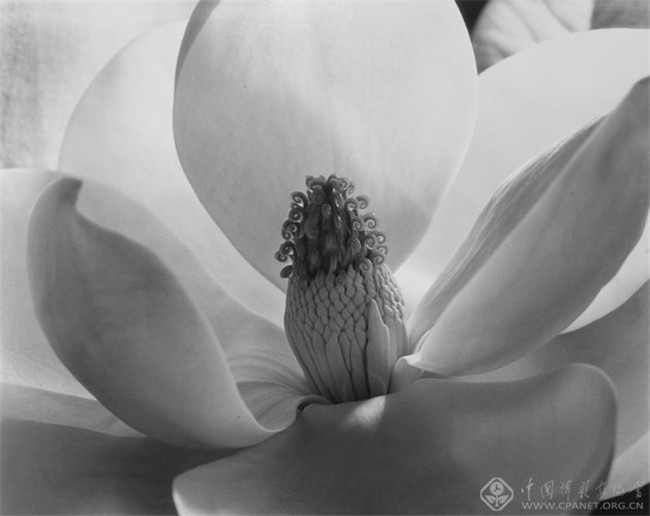 乘物游心--1839-2014直接摄影原作展