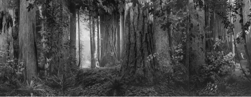 佩斯伦敦画廊举办《杉本博司：静物》展