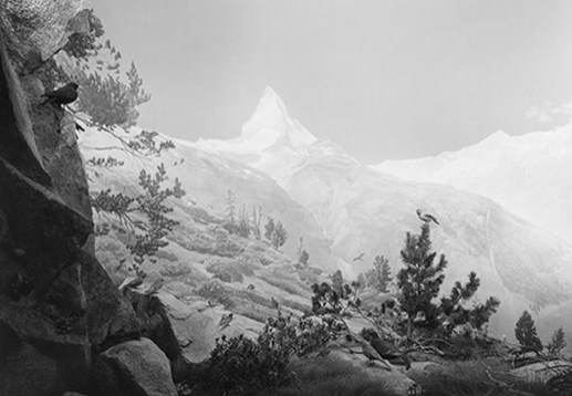 佩斯伦敦画廊举办《杉本博司：静物》展
