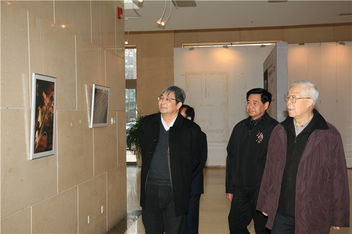 “摄影漫画新艺术--光漫艺术”国内首展和研讨会在京举行
