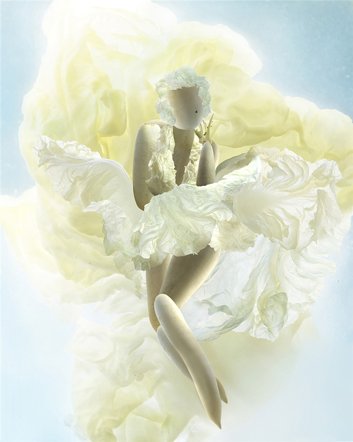 《白菜的幻想》桔多淇摄影作品展展出