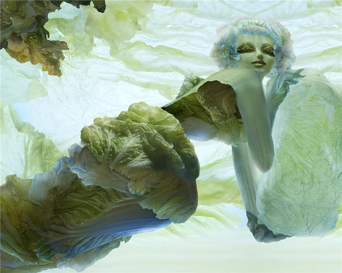 《白菜的幻想》桔多淇摄影作品展展出