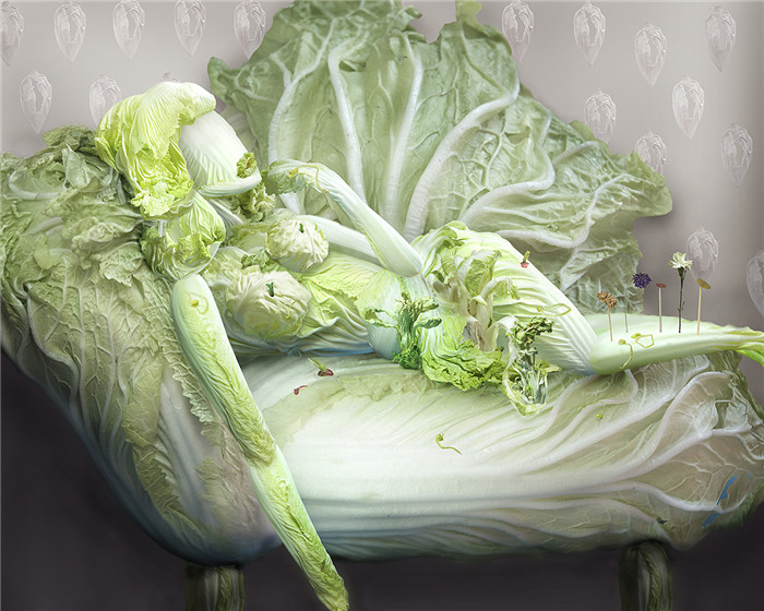 《白菜的幻想》桔多淇摄影作品展展出