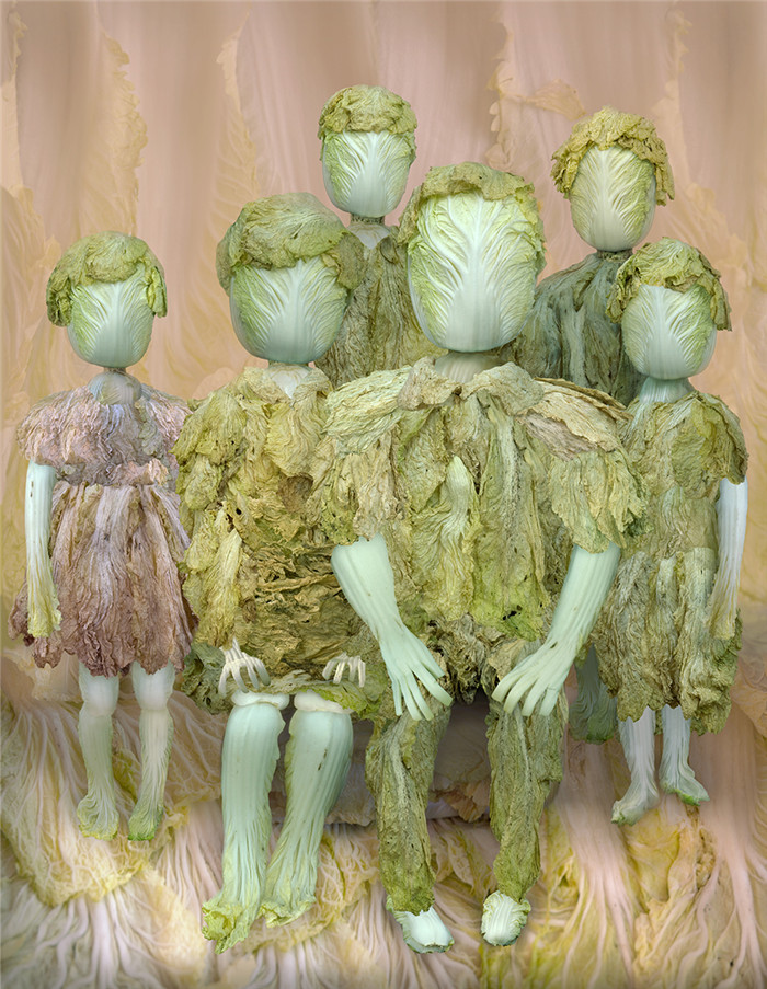 《白菜的幻想》桔多淇摄影作品展展出