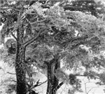 “美丽延庆 北京画廊”—摄影艺术大展入围公示